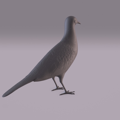 Pigeon 3D Print 404986