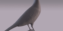 Image 404986