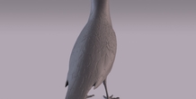 Image 404987