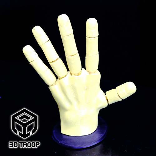 HAND FLEX 3D Print 405225