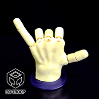 HAND FLEX - Thumbnail 4