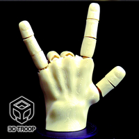 HAND FLEX - Thumbnail 6