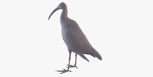 Image 405961