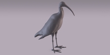 Image 405962