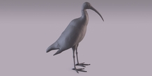 Image 405963