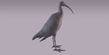 Image 405964