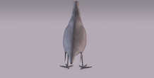 Image 405966