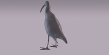 Image 405967