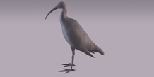 Image 405968