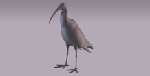 Image 405969