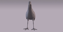 Image 405970