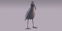 Image 405971