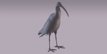 Image 405972