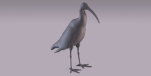 Image 405973