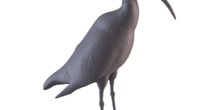 Image 405974