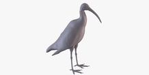 Image 405975