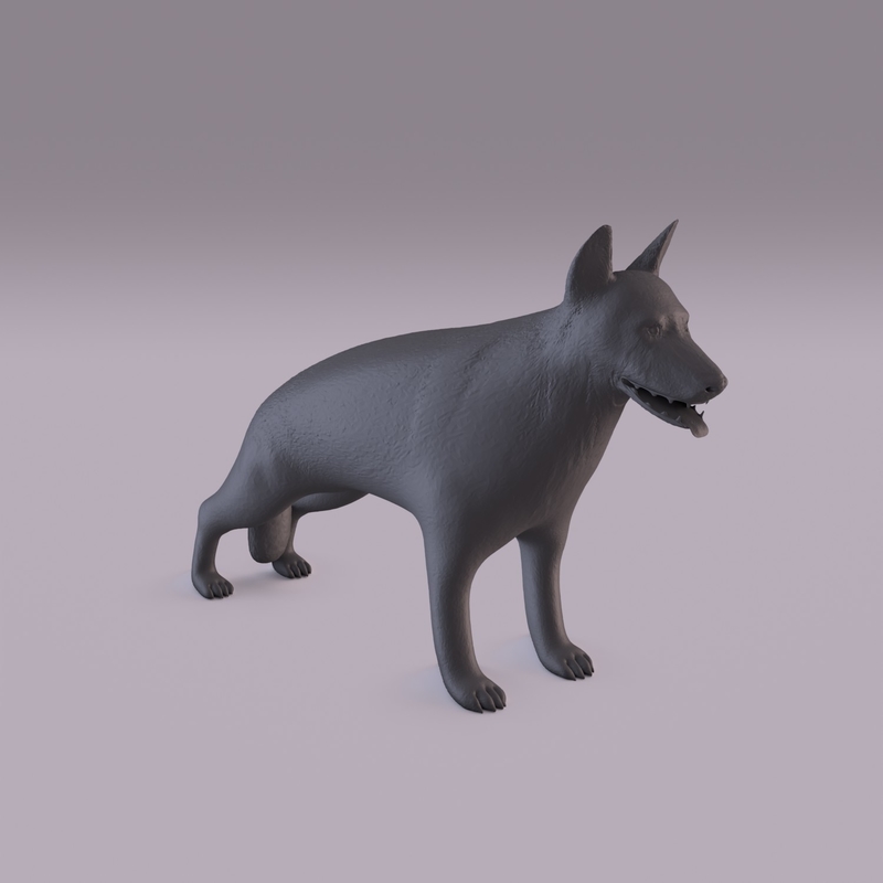 German Shepherd