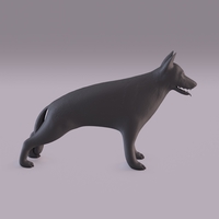 German Shepherd - Thumbnail 4