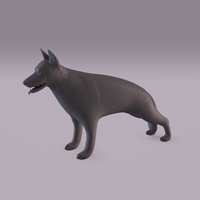 German Shepherd - Thumbnail 9