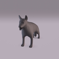 German Shepherd - Thumbnail 10