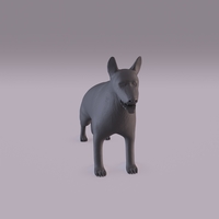 German Shepherd - Thumbnail 11