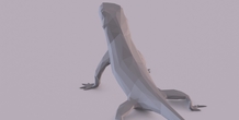 Image 406008