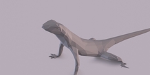 Image 406010