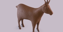 Image 406016