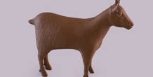 Image 406017