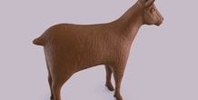 Image 406018