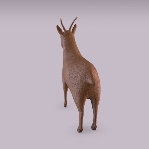 Goat 3D Print 406020