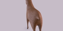 Image 406020