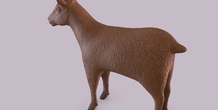 Image 406021