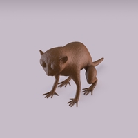 Monkey - Thumbnail 3