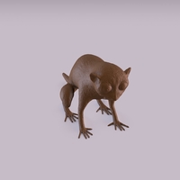 Monkey - Thumbnail 5