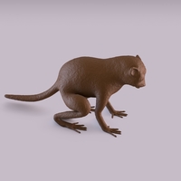 Monkey - Thumbnail 9