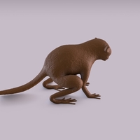 Monkey - Thumbnail 10