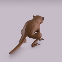 Monkey - Thumbnail 11