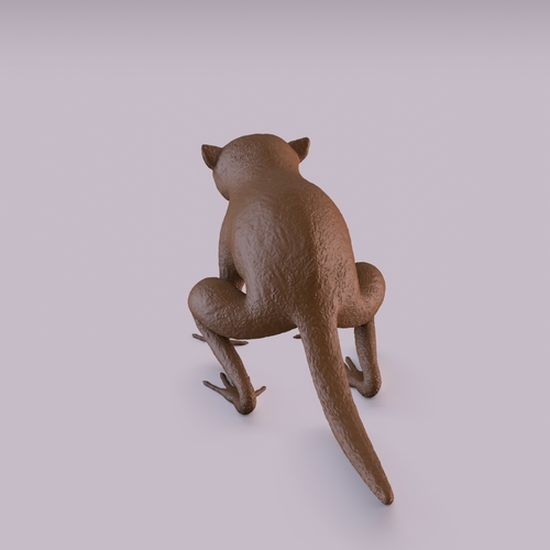 Monkey 3D Print 406037