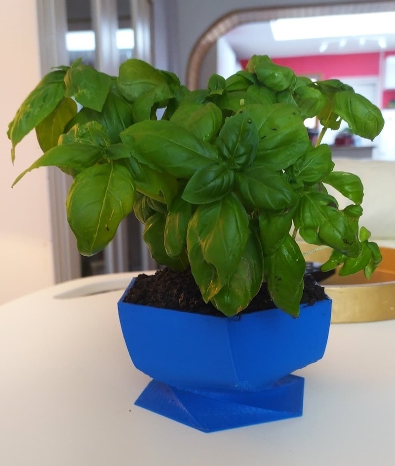 Flower Pot twisted pentagone