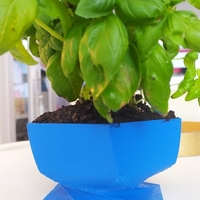 Flower Pot twisted pentagone - Thumbnail 2