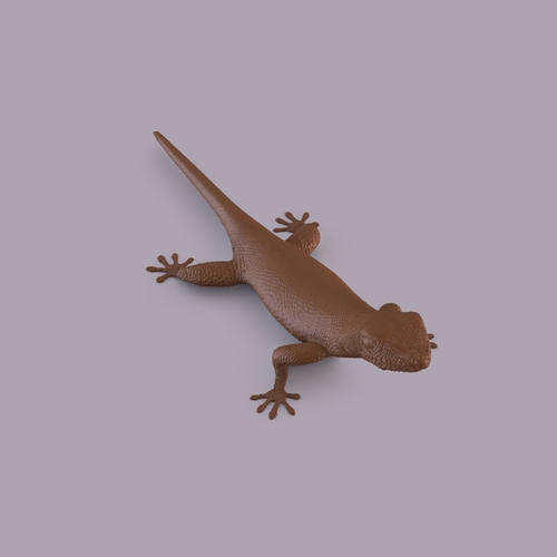 Gecko 3D Print 406661