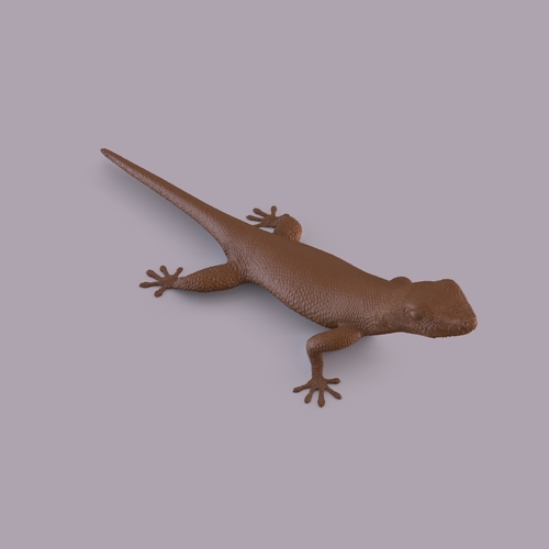 Gecko 3D Print 406662