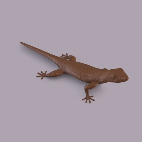 Gecko 3D Print 406663