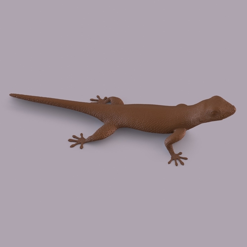 Gecko 3D Print 406664