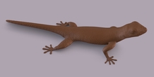 Image 406664