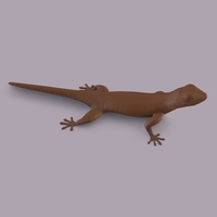 Gecko - Thumbnail 4