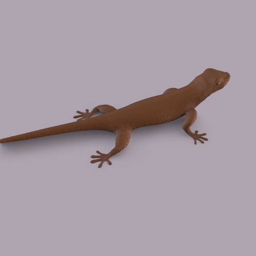 Gecko 3D Print 406665