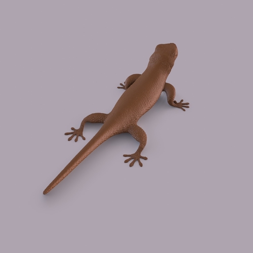 Gecko 3D Print 406666