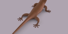 Image 406666